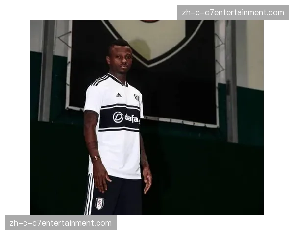 富勒姆中场里德撞伤恢复中 自3月22日起进入伤病名单